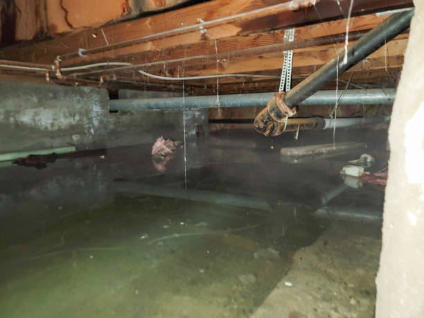 Best Basement water damage restoration  in Jamestown West, NY