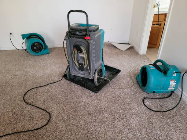 Best Carpet water damage restoration  in Jamestown West, NY