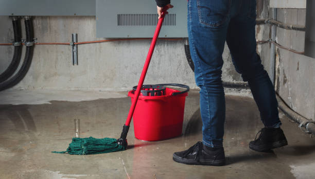 Best Water damage restoration near me  in Jamestown West, NY
