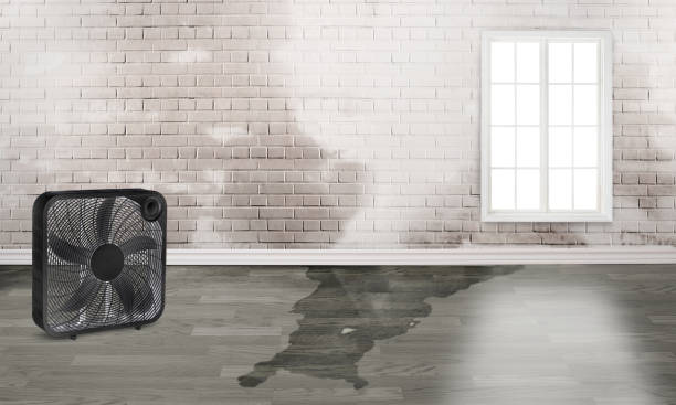 Trusted Jamestown West, NY Water damage restoration Experts