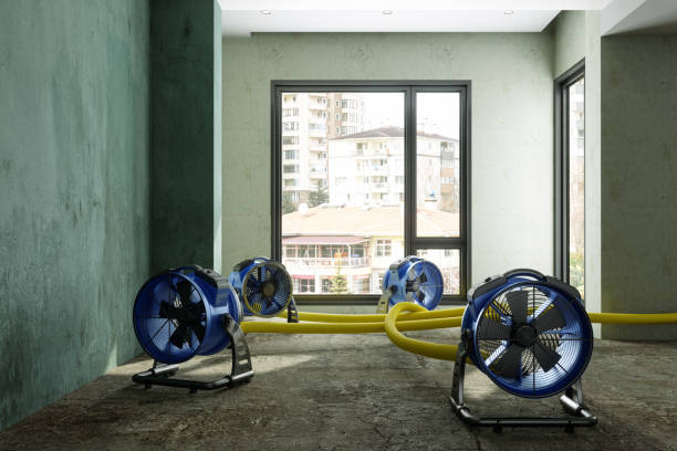Best Sewage cleanup and water damage restoration  in Jamestown West, NY