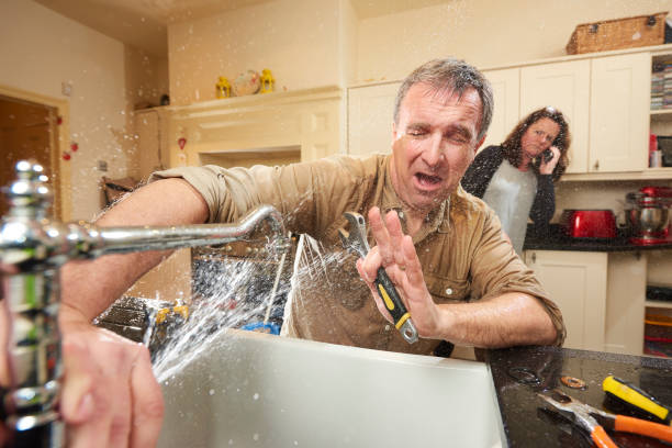 Best Flood damage cleanup  in Jamestown West, NY
